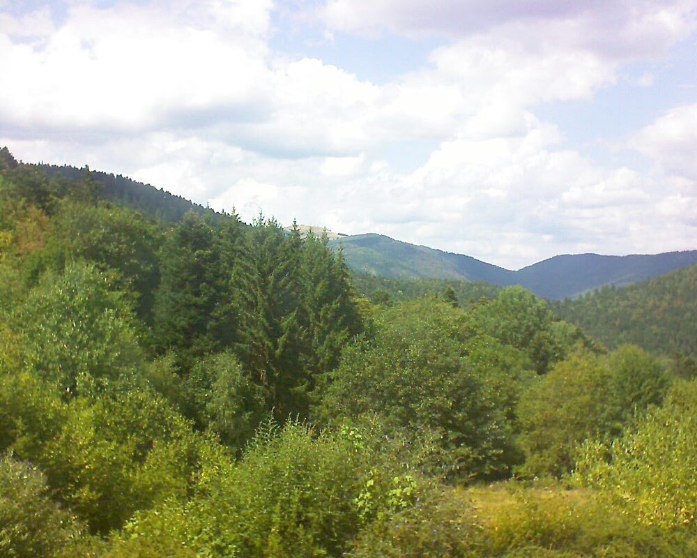 Le petit ballon (Alsace, Vosges) le 05.08.2026 à 15:15