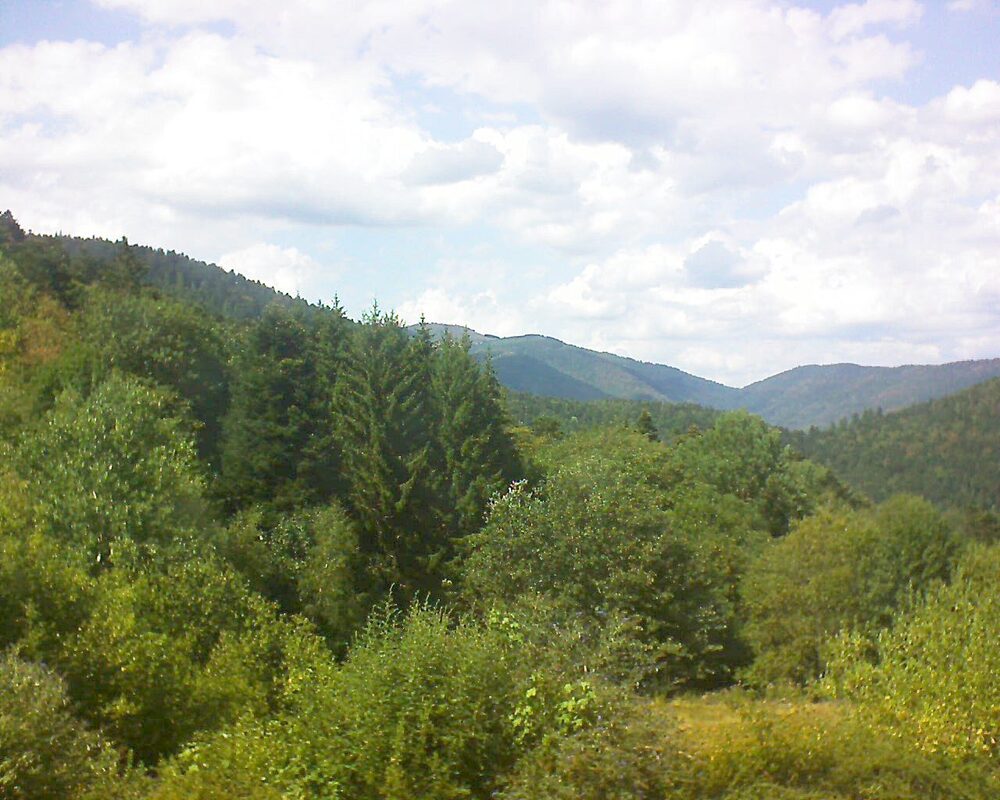 Le petit ballon (Alsace, Vosges) le 05.08.2026 à 15:30