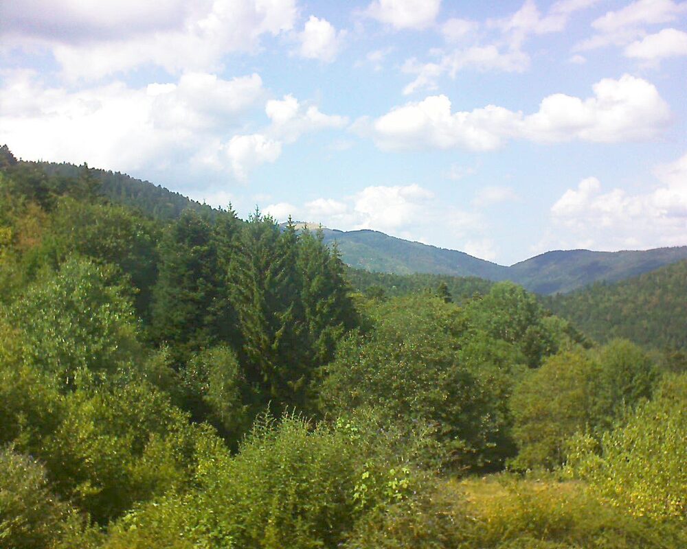 Le petit ballon (Alsace, Vosges) le 05.08.2026 à 15:45