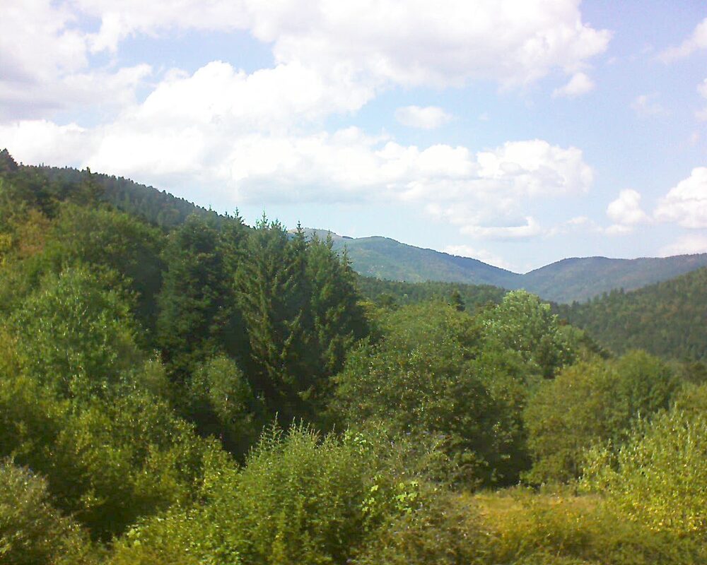 Le petit ballon (Alsace, Vosges) le 05.08.2026 à 16:00