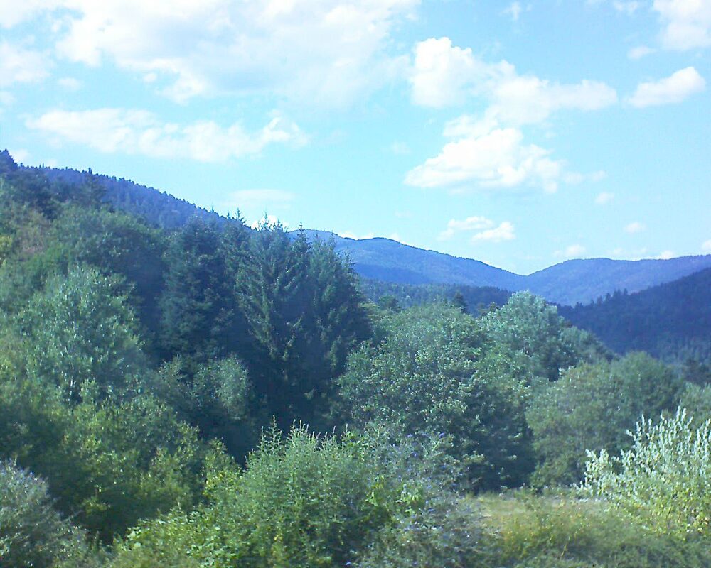 Le petit ballon (Alsace, Vosges) le 05.08.2026 à 16:15