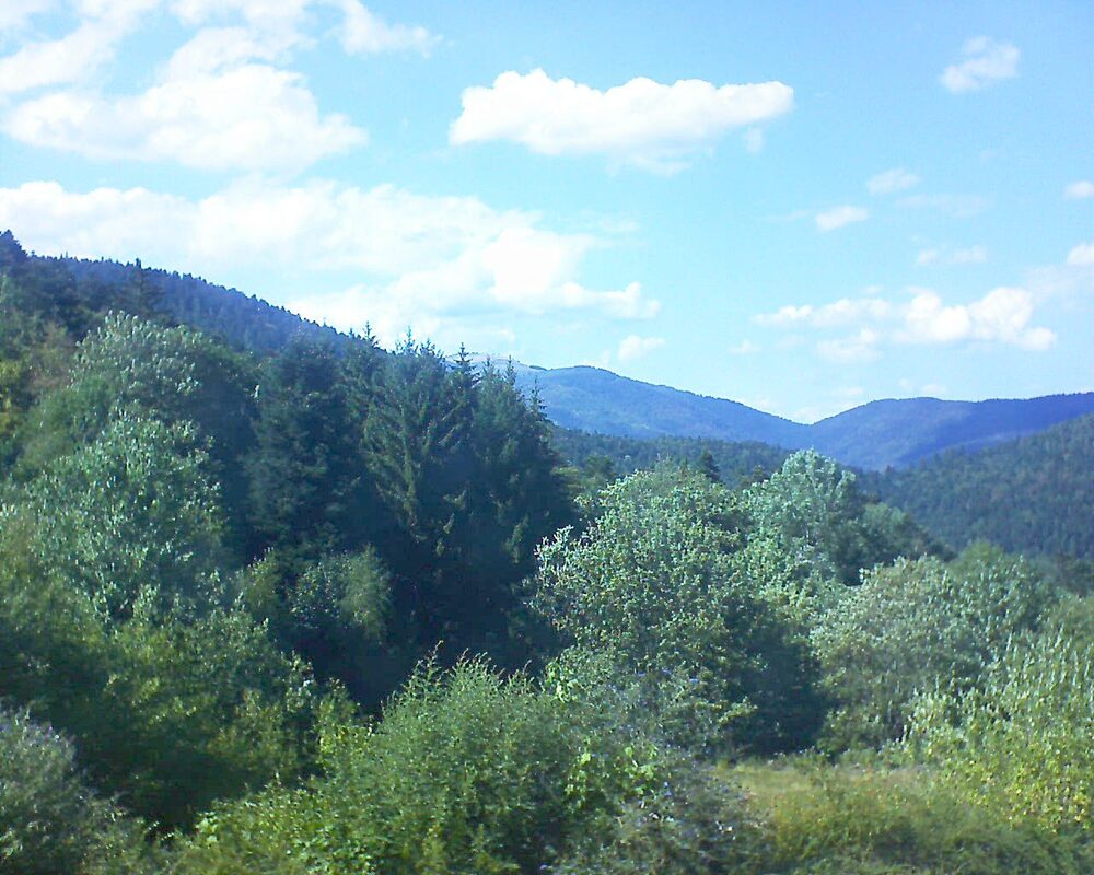 Le petit ballon (Alsace, Vosges) le 05.08.2026 à 16:30