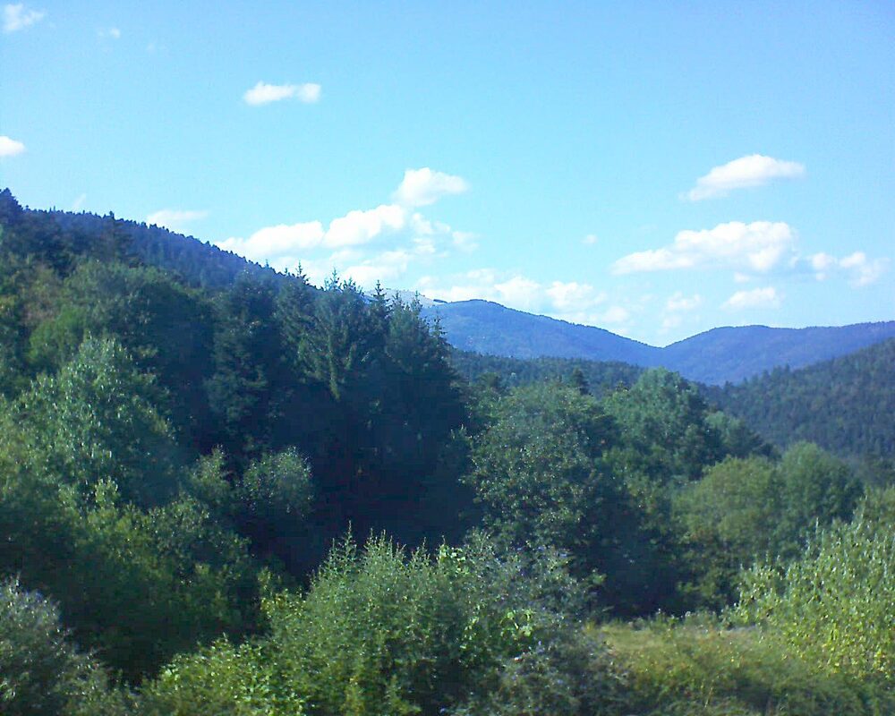 Le petit ballon (Alsace, Vosges) le 05.08.2026 à 17:15