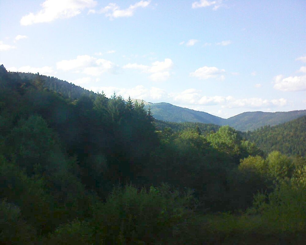 Le petit ballon (Alsace, Vosges) le 05.08.2026 à 18:30