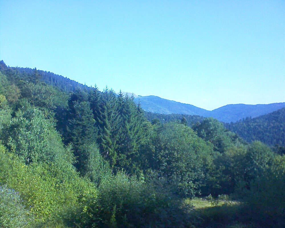 Le petit ballon vu depuis le Domaine Langmatt à Murbach le 08.08.2026 à 09:30 Le petit ballon (Alsace, Vosges) le 08.08.2026 à 09:30
