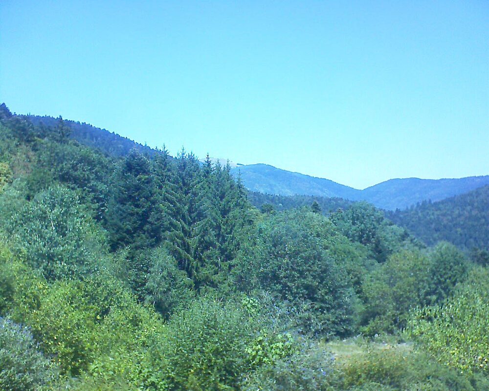 Le petit ballon (Alsace, Vosges) le 08.08.2026 à 13:30