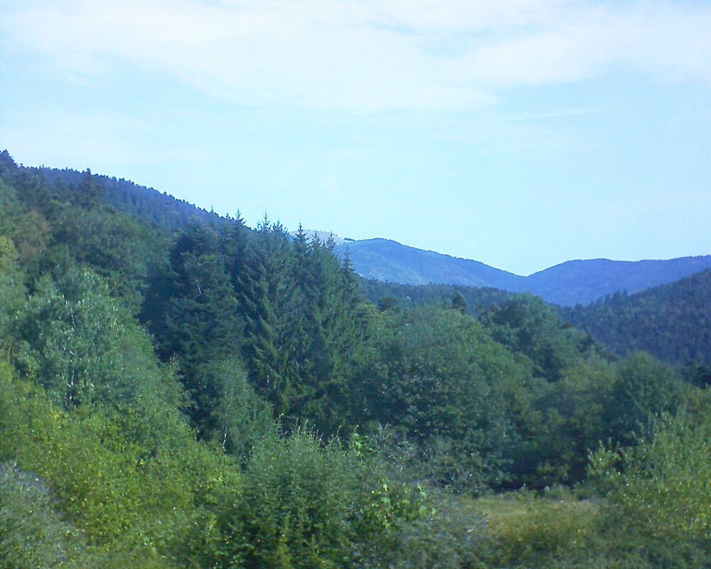 Le petit ballon vu depuis le Domaine Langmatt à Murbach le 09.08.2026 à 10:30 Le petit ballon (Alsace, Vosges) le 09.08.2026 à 10:30