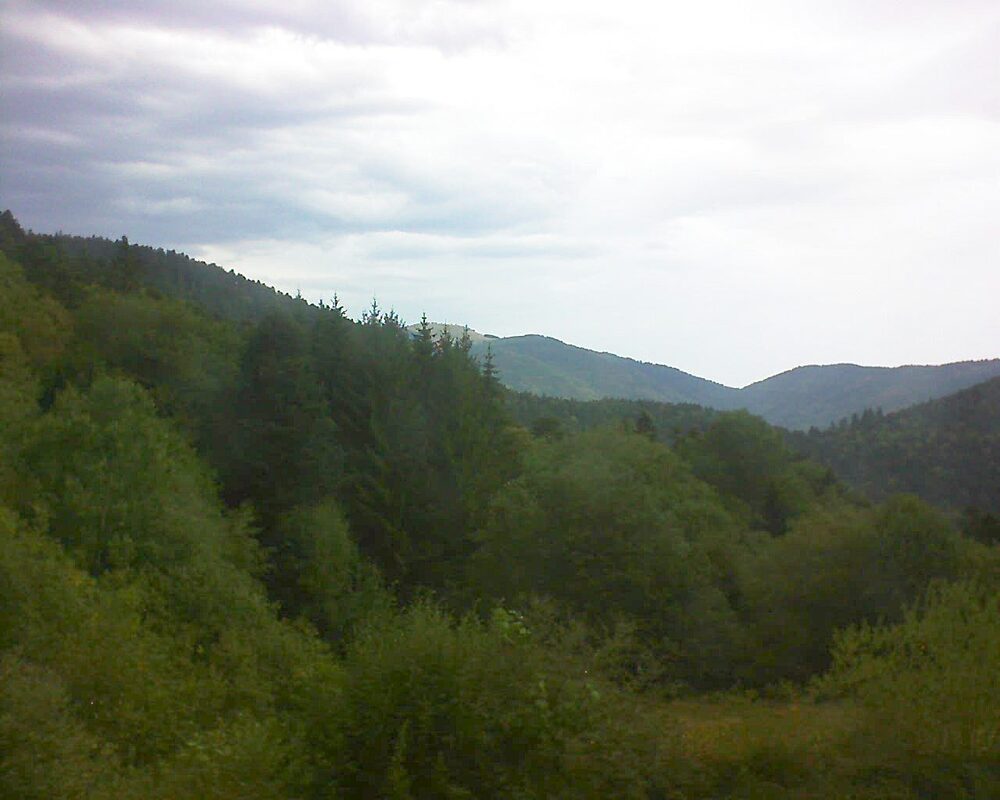 Le petit ballon (Alsace, Vosges) le 09.08.2026 à 12:45