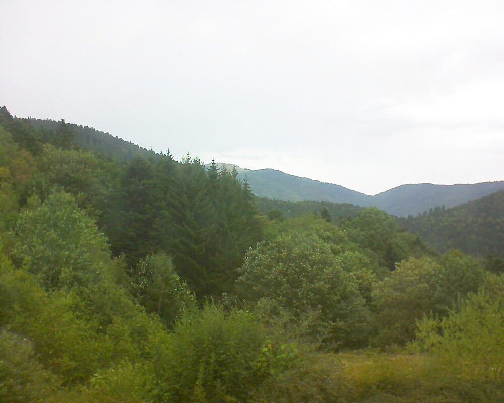 Le petit ballon vu depuis le Domaine Langmatt à Murbach le 09.08.2026 à 13:15 Le petit ballon (Alsace, Vosges) le 09.08.2026 à 13:15
