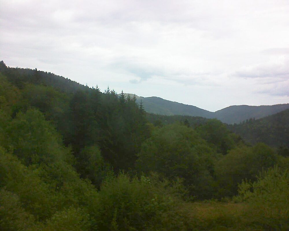 Le petit ballon (Alsace, Vosges) le 10.08.2026 à 13:30