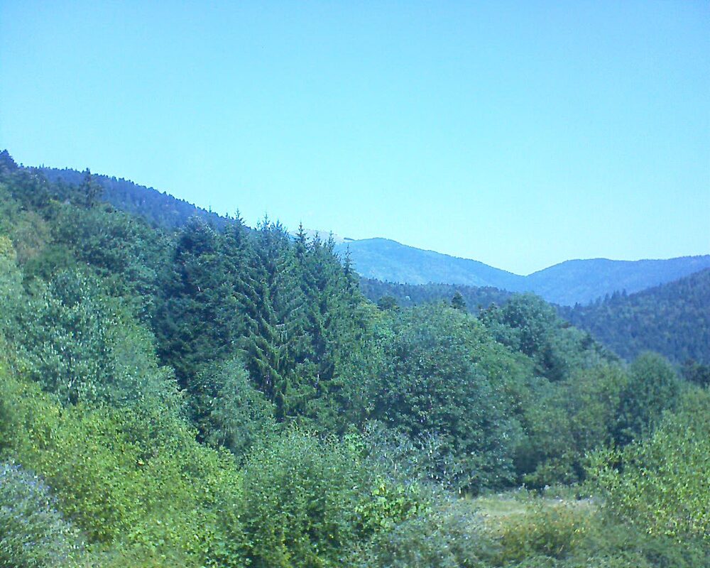Le petit ballon (Alsace, Vosges) le 11.08.2026 à 12:15