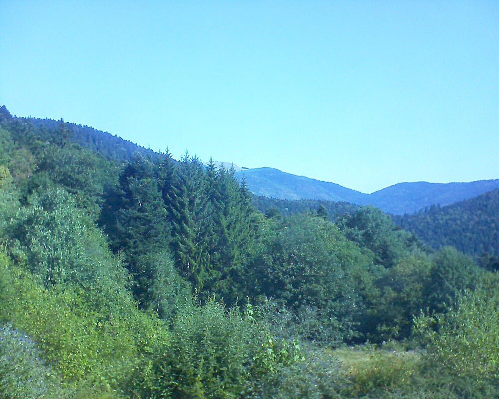 Le petit ballon vu depuis le Domaine Langmatt à Murbach le 12.08.2026 à 10:30 Le petit ballon (Alsace, Vosges) le 12.08.2026 à 10:30