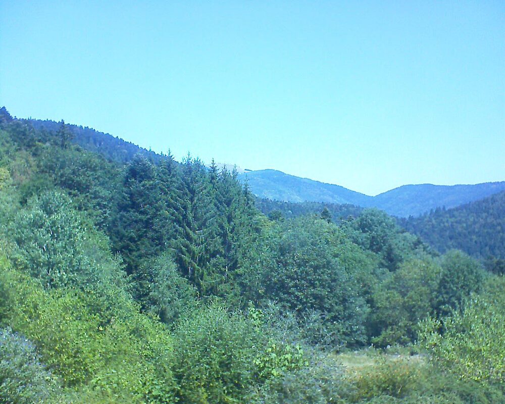 Le petit ballon vu depuis le Domaine Langmatt à Murbach le 12.08.2026 à 12:30 Le petit ballon (Alsace, Vosges) le 12.08.2026 à 12:30