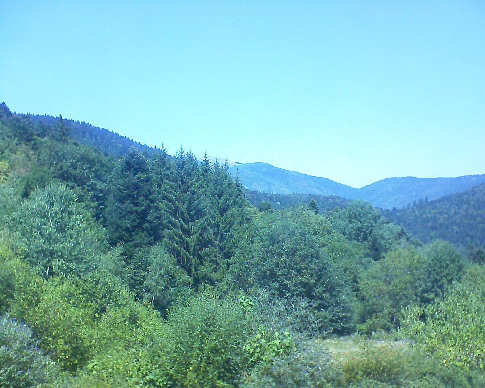 Le petit ballon (Alsace, Vosges) le 12.08.2026 à 13:45