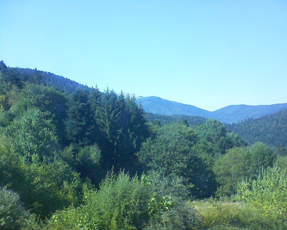Le petit ballon vu depuis le Domaine Langmatt à Murbach le 12.08.2026 à 16:30 Le petit ballon (Alsace, Vosges) le 12.08.2026 à 16:30