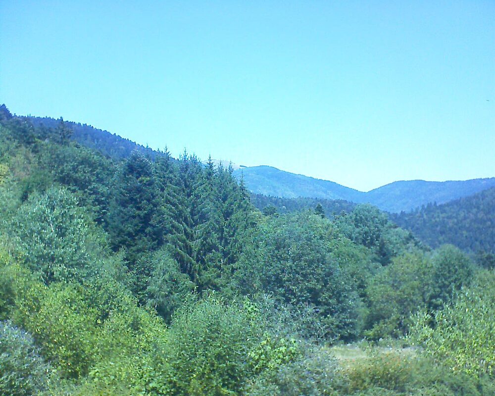 Le petit ballon (Alsace, Vosges) le 13.08.2026 à 13:30