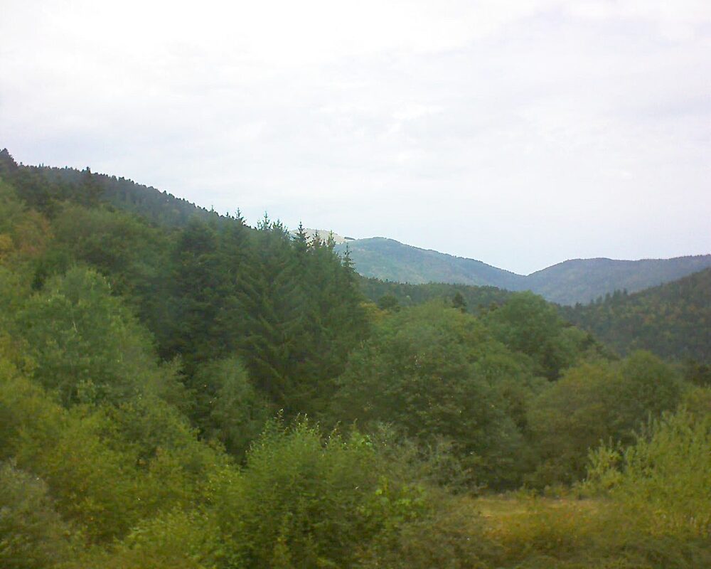 Le petit ballon (Alsace, Vosges) le 15.08.2026 à 13:30