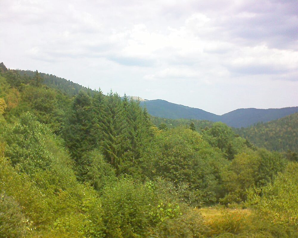 Le petit ballon vu depuis le Domaine Langmatt à Murbach le 16.08.2026 à 12:30 Le petit ballon (Alsace, Vosges) le 16.08.2026 à 12:30