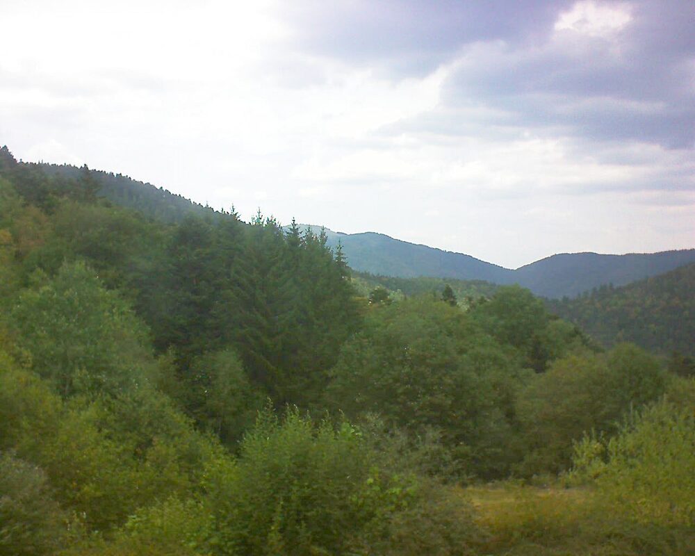 Le petit ballon vu depuis le Domaine Langmatt à Murbach le 16.08.2026 à 13:15 Le petit ballon (Alsace, Vosges) le 16.08.2026 à 13:15
