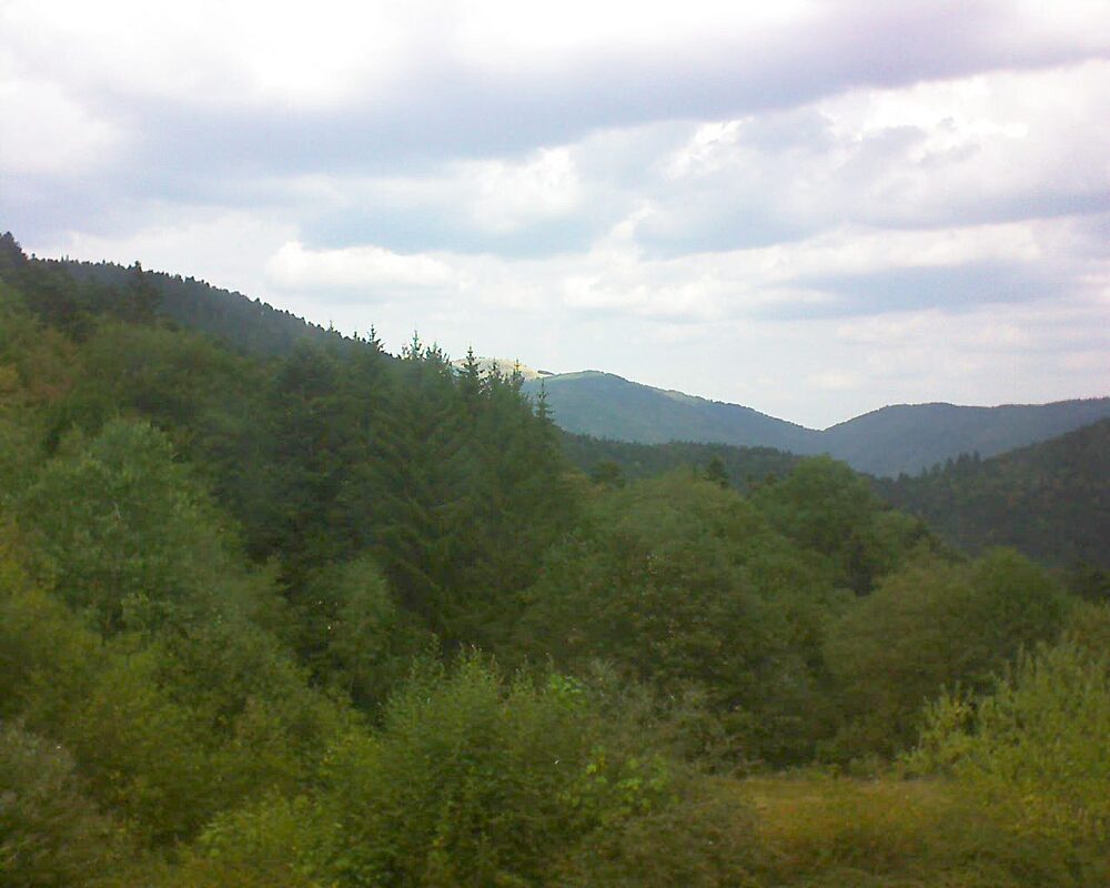 Le petit ballon (Alsace, Vosges) le 16.08.2026 à 13:30