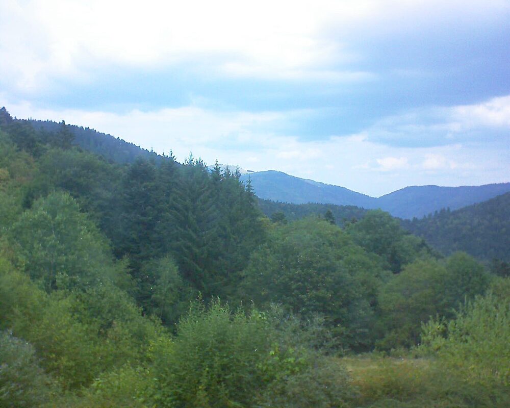 Le petit ballon (Alsace, Vosges) le 16.08.2026 à 13:45