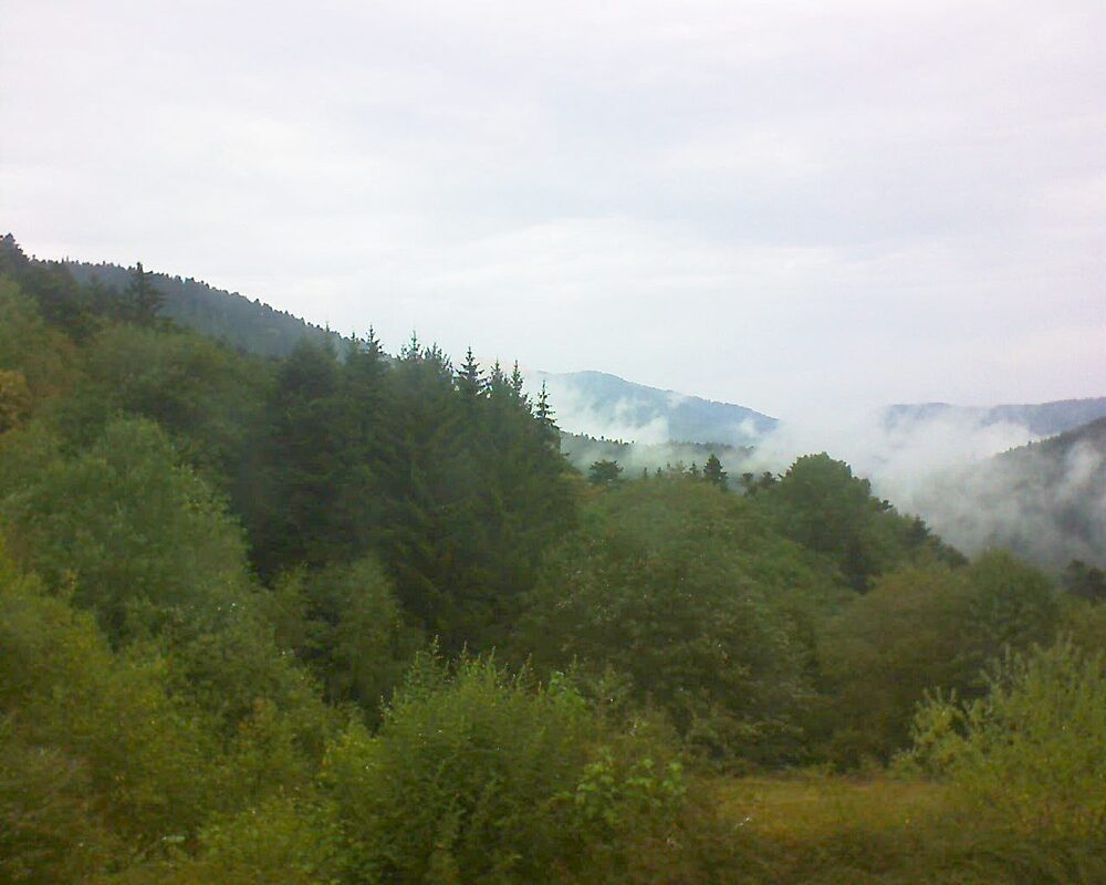 Le petit ballon vu depuis le Domaine Langmatt à Murbach le 17.08.2026 à 13:00 Le petit ballon (Alsace, Vosges) le 17.08.2026 à 13:00