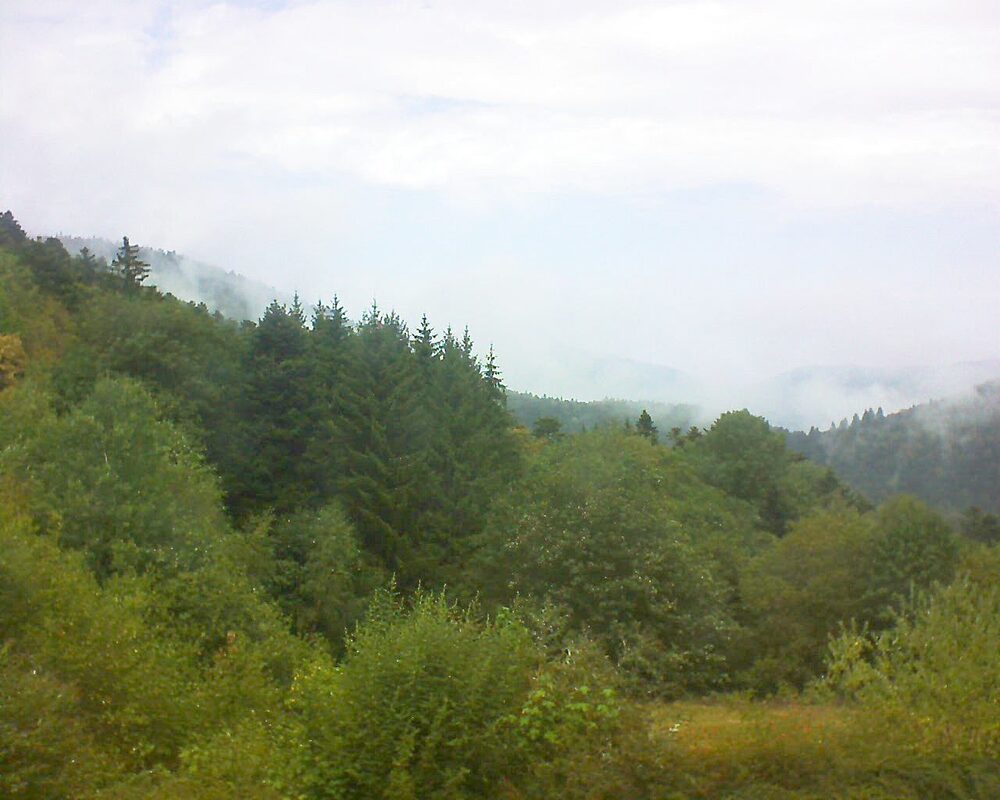 Le petit ballon vu depuis le Domaine Langmatt à Murbach le 17.08.2026 à 13:30 Le petit ballon (Alsace, Vosges) le 17.08.2026 à 13:30
