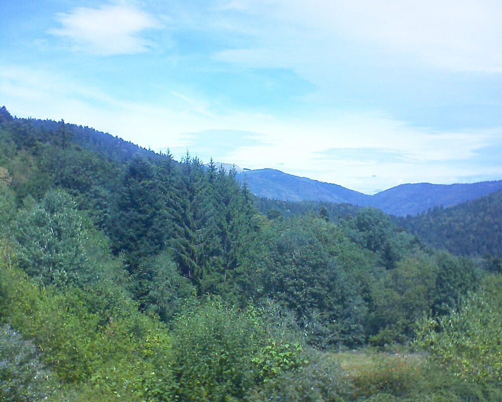 Le petit ballon vu depuis le Domaine Langmatt à Murbach le 18.08.2026 à 12:45 Le petit ballon (Alsace, Vosges) le 18.08.2026 à 12:45