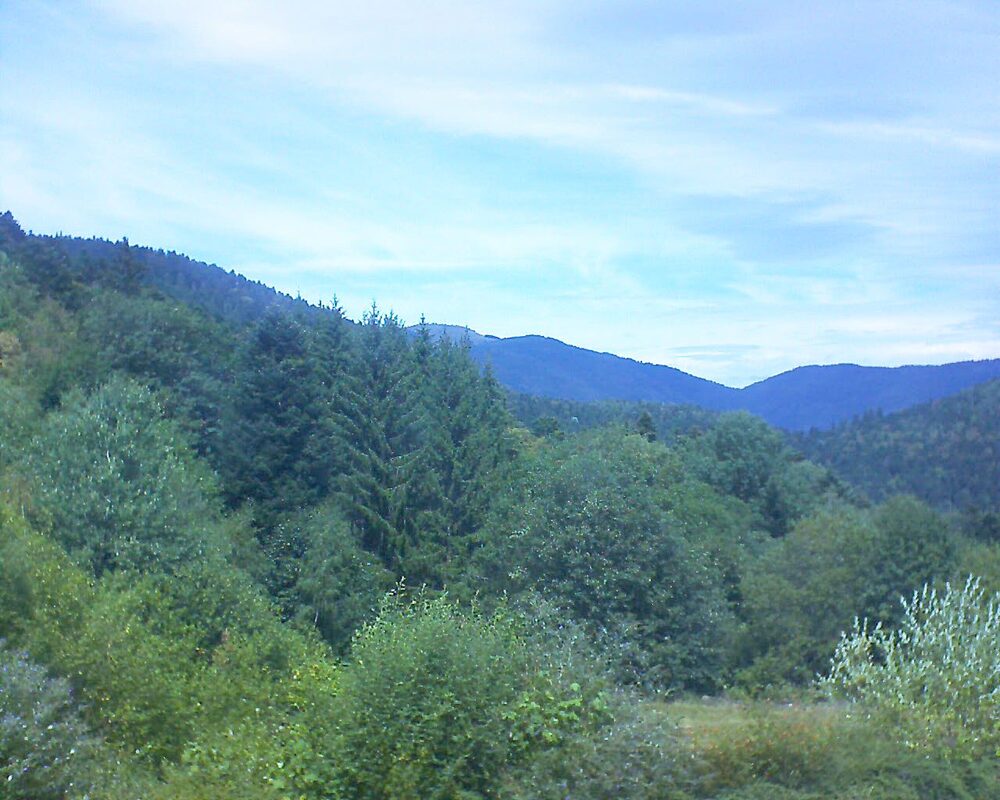 Le petit ballon (Alsace, Vosges) le 18.08.2026 à 13:15