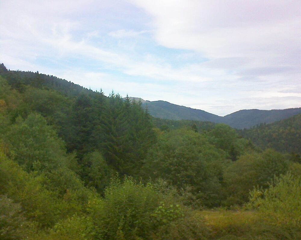 Le petit ballon (Alsace, Vosges) le 18.08.2026 à 13:30