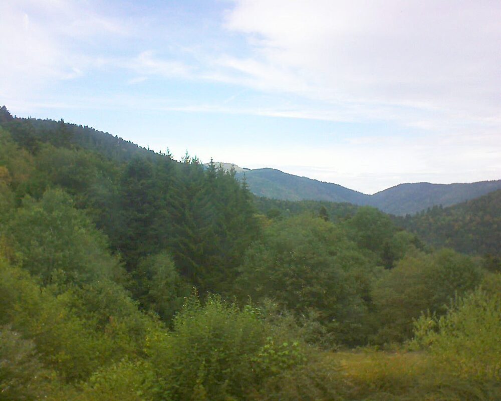 Le petit ballon (Alsace, Vosges) le 18.08.2026 à 13:45