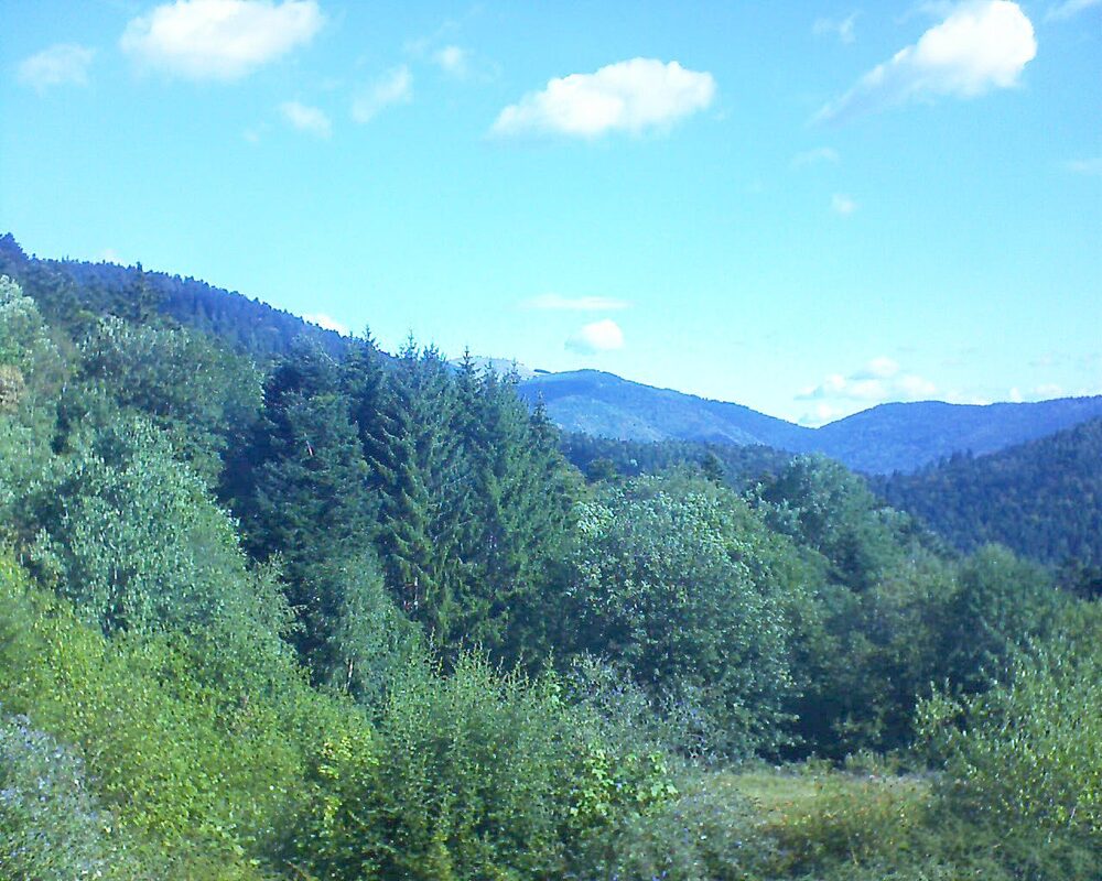 Le petit ballon vu depuis le Domaine Langmatt à Murbach le 19.08.2026 à 10:15 Le petit ballon (Alsace, Vosges) le 19.08.2026 à 10:15