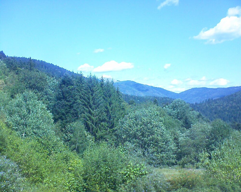 Le petit ballon (Alsace, Vosges) le 19.08.2026 à 12:30