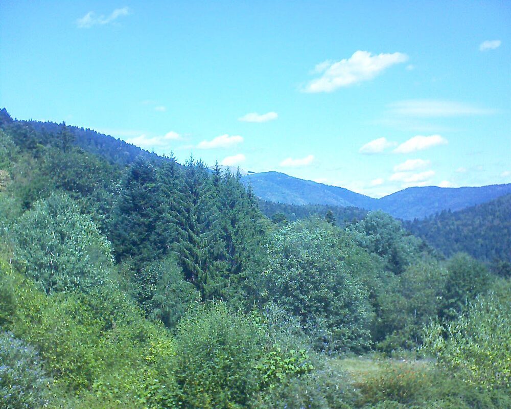 Le petit ballon vu depuis le Domaine Langmatt à Murbach le 19.08.2026 à 12:45 Le petit ballon (Alsace, Vosges) le 19.08.2026 à 12:45