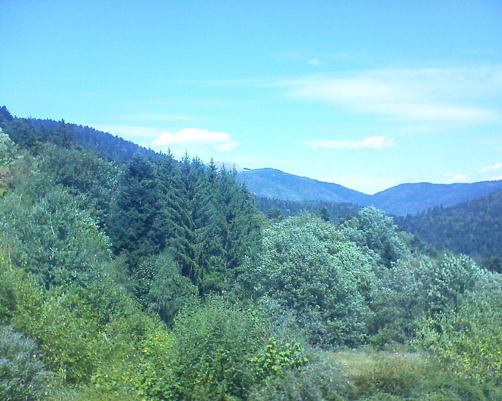 Le petit ballon vu depuis le Domaine Langmatt à Murbach le 19.08.2026 à 13:15 Le petit ballon (Alsace, Vosges) le 19.08.2026 à 13:15
