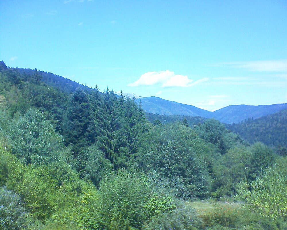 Le petit ballon (Alsace, Vosges) le 19.08.2026 à 13:30