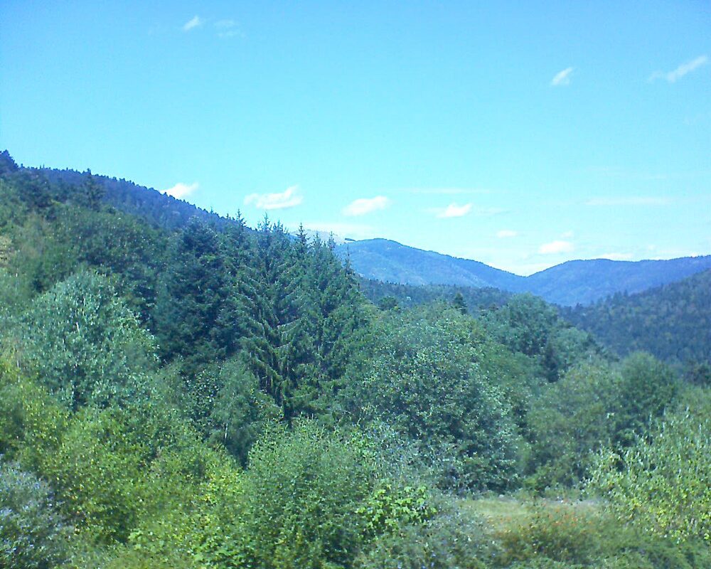 Le petit ballon vu depuis le Domaine Langmatt à Murbach le 19.08.2026 à 13:45 Le petit ballon (Alsace, Vosges) le 19.08.2026 à 13:45