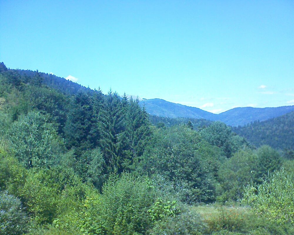 Le petit ballon vu depuis le Domaine Langmatt à Murbach le 19.08.2026 à 14:15 Le petit ballon (Alsace, Vosges) le 19.08.2026 à 14:15
