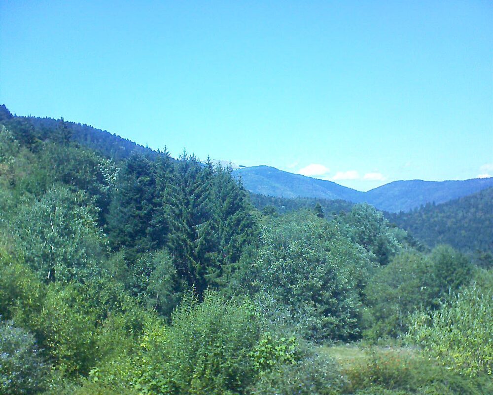Le petit ballon vu depuis le Domaine Langmatt à Murbach le 19.08.2026 à 14:30 Le petit ballon (Alsace, Vosges) le 19.08.2026 à 14:30