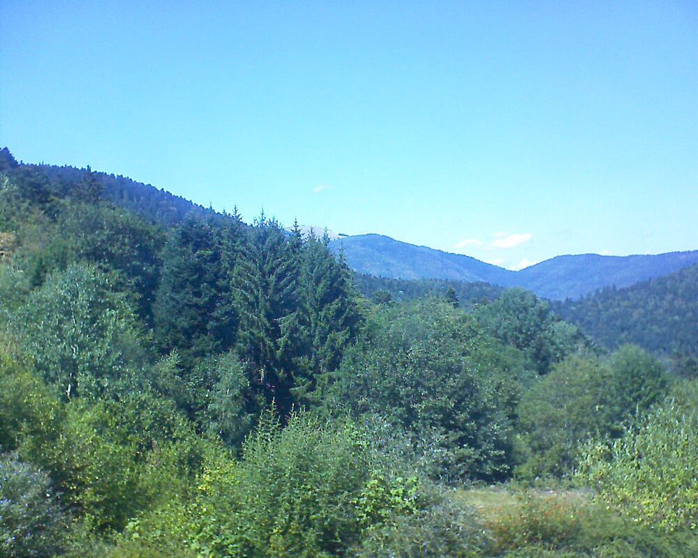 Le petit ballon (Alsace, Vosges) le 19.08.2026 à 14:45