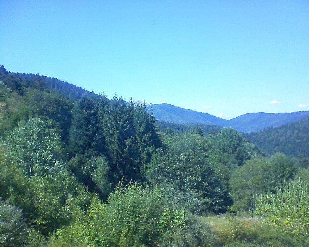 Le petit ballon (Alsace, Vosges) le 19.08.2026 à 15:30