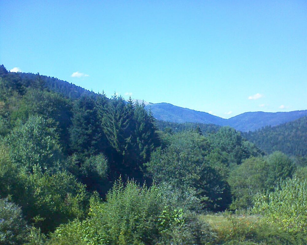 Le petit ballon (Alsace, Vosges) le 19.08.2026 à 16:15