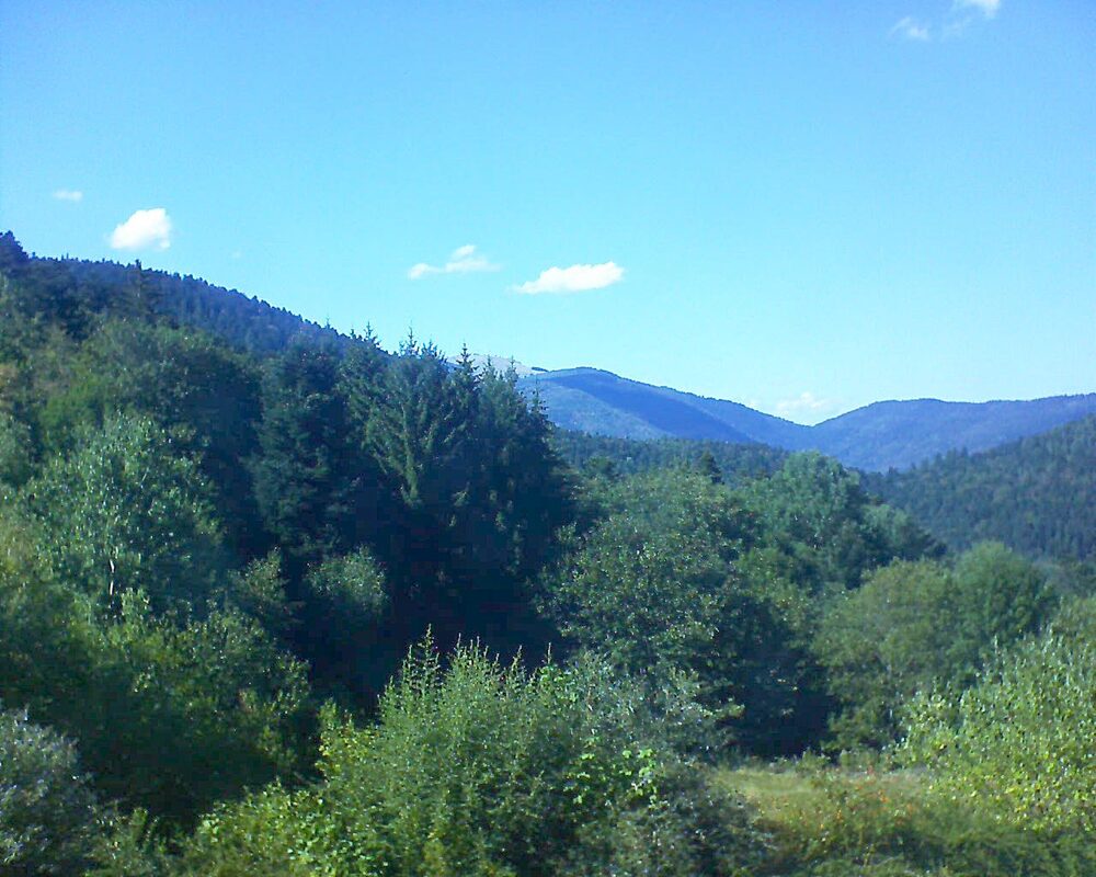 Le petit ballon (Alsace, Vosges) le 19.08.2026 à 16:45