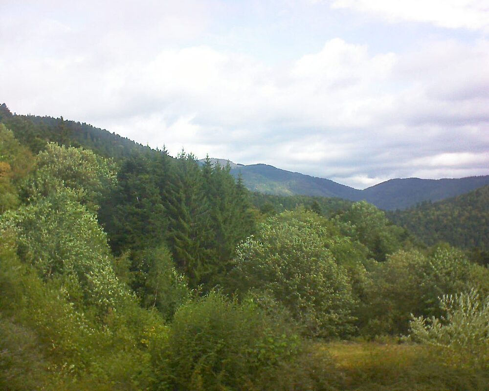 Le petit ballon (Alsace, Vosges) le 20.08.2026 à 10:30