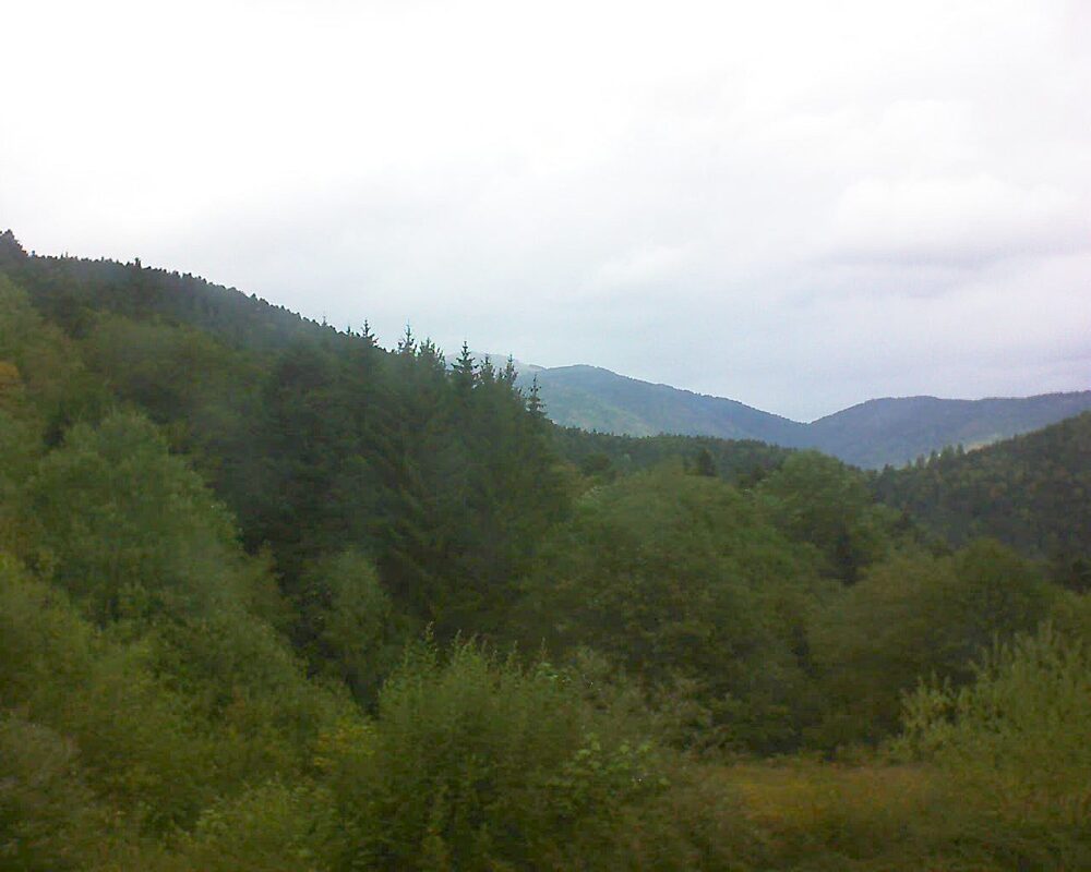 Le petit ballon (Alsace, Vosges) le 20.08.2026 à 13:15