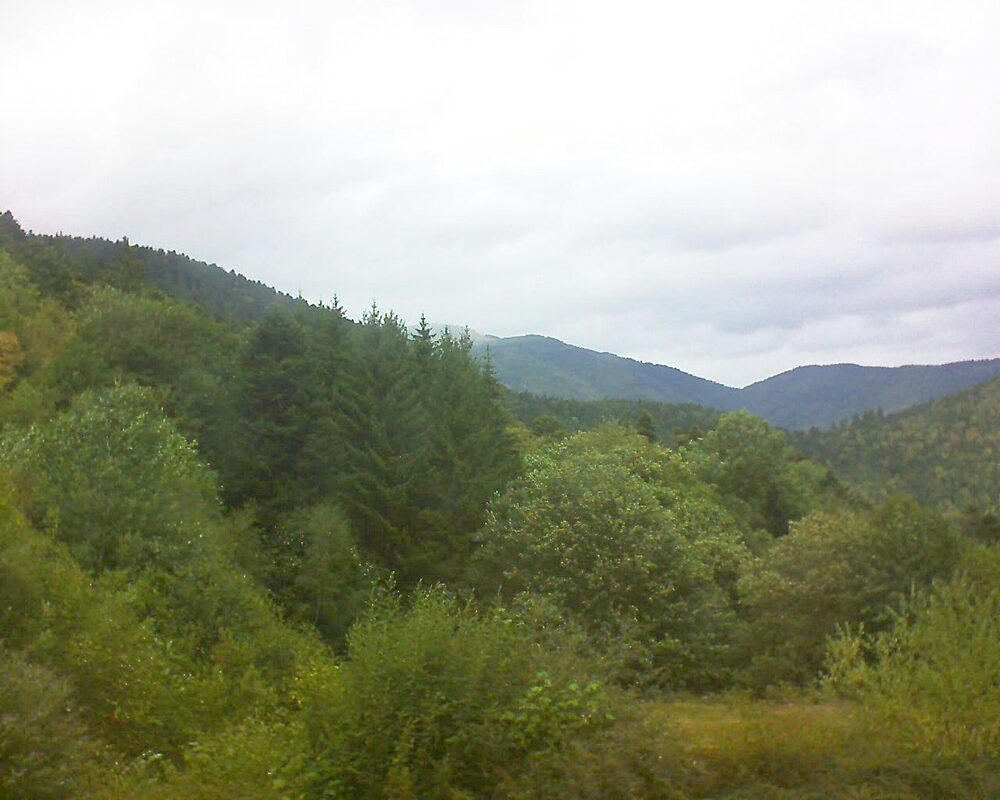 Le petit ballon (Alsace, Vosges) le 20.08.2026 à 13:30