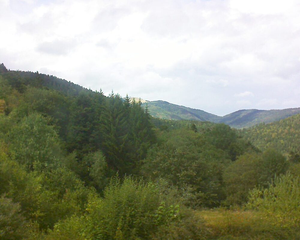 Le petit ballon (Alsace, Vosges) le 20.08.2026 à 15:30