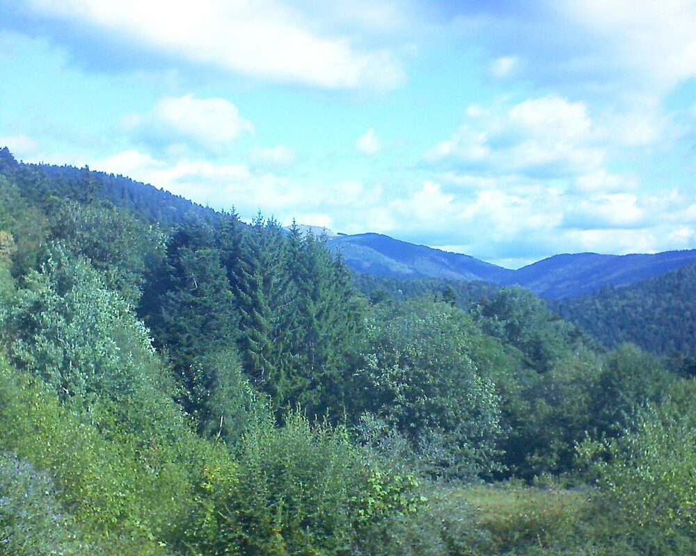 Le petit ballon (Alsace, Vosges) le 22.08.2026 à 10:30