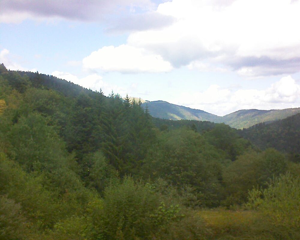 Le petit ballon (Alsace, Vosges) le 22.08.2026 à 13:45