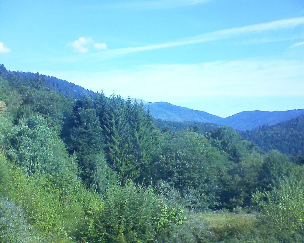 Le petit ballon vu depuis le Domaine Langmatt à Murbach le 23.08.2026 à 10:30 Le petit ballon (Alsace, Vosges) le 23.08.2026 à 10:30